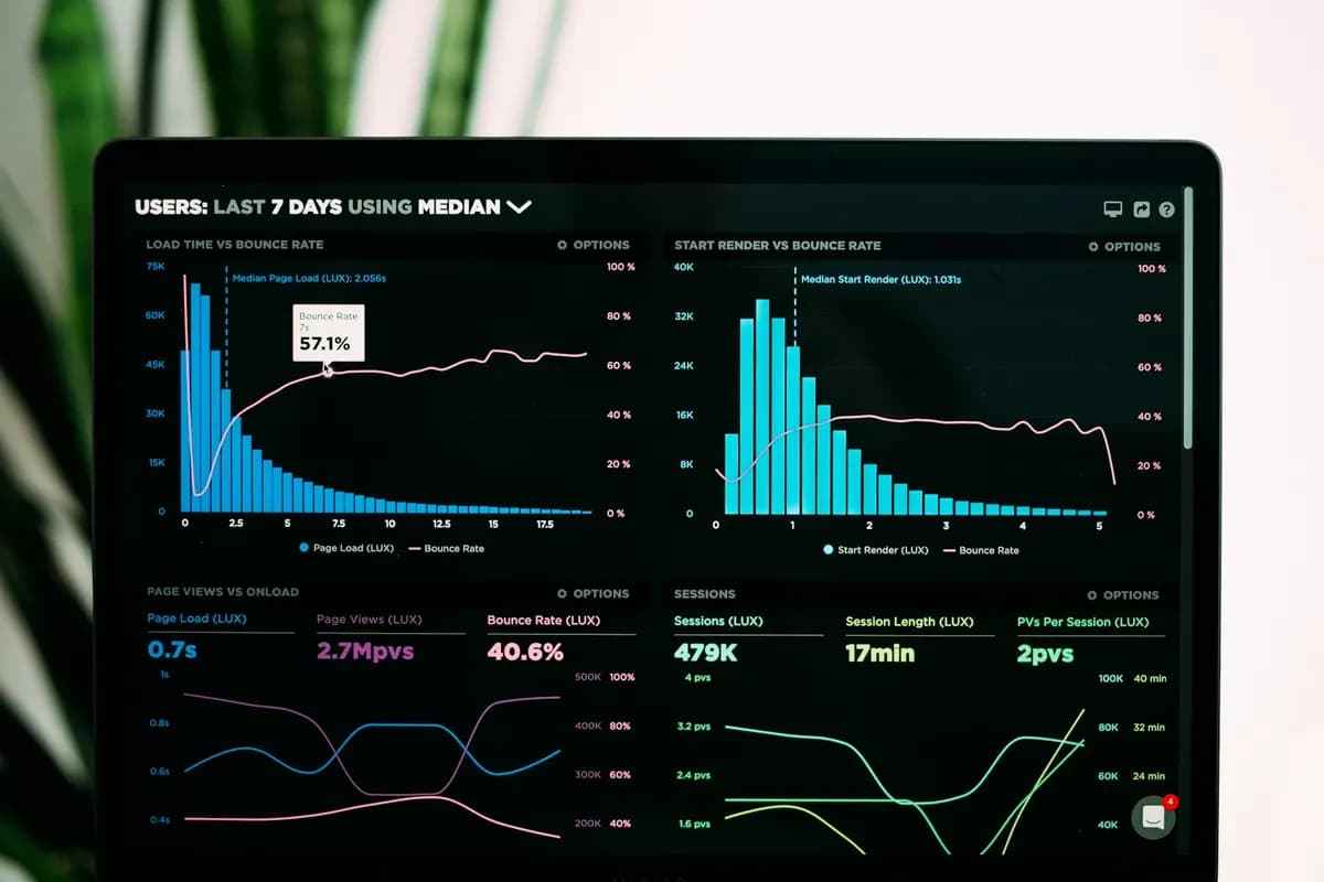 Business analytics dashboard in a custom web application